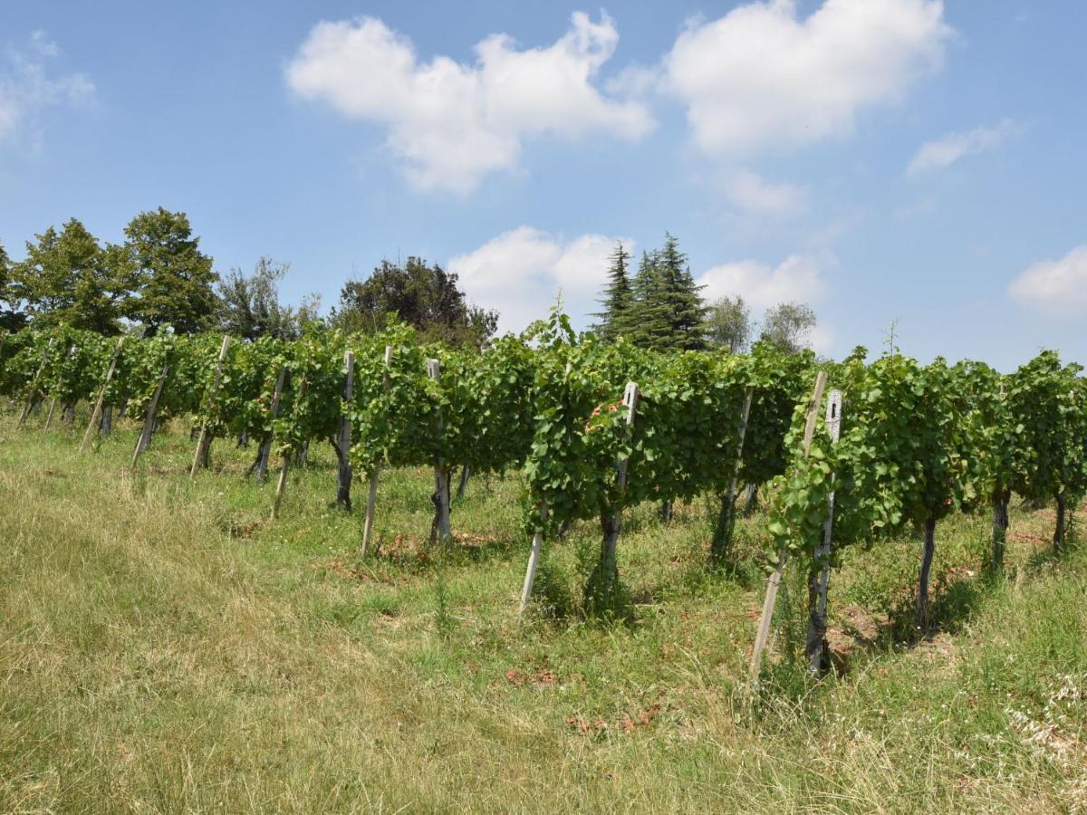 Holiday home La Corte Bricca - Trilo Torretta By Interhome Castana (Lombardy)
